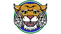 Baden-Elementary-logo