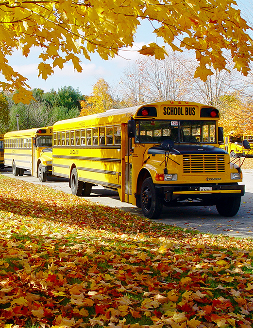 F-bus-autumn-leaves.jpg